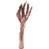 Clayre & Eef 5DF0024 Fleurs séchées bambou 100 cm (10) rose