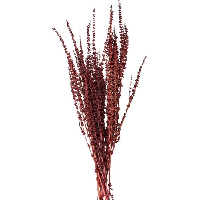 Clayre & Eef 5DF0025 Fleurs séchées 85 cm (100 gr) Rouge