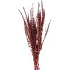 Clayre & Eef 5DF0025 Fleurs séchées 85 cm (100 gr) Rouge