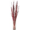 Clayre & Eef 5DF0025 Fleurs séchées 85 cm (100 gr) Rouge