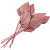 Clayre & Eef 5DF0029 Fleurs séchées 55 cm (12) Rose