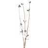 Clayre & Eef 5DF0030 Fleurs séchées 80 cm (3) Blanc - Marron