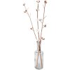 Clayre & Eef 5DF0030 Fleurs séchées 80 cm (3) Blanc - Marron