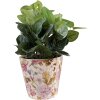 Clayre & Eef 6CE1562M Décoration Pot de fleurs Ø 17x16 cm Rose - Beige