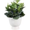 Clayre & Eef 6CE1570L Décoration Pot de fleurs Ø 17x15 cm Blanc