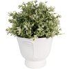 Clayre & Eef 6CE1570M Décoration Pot de fleurs Ø 14x12 cm Blanc