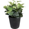 Clayre & Eef 6CE1579L Décoration Pot de fleurs Ø 16x16 cm Gris