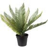 Clayre & Eef 6PL0225 Décoration plante artificielle 50x50x38 cm vert