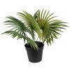 Clayre & Eef 6PL0226 Décoration plante artificielle 43x40x33 cm vert