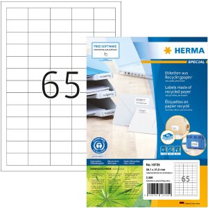 HERMA 10725 Étiquettes en papier recyclé A4...