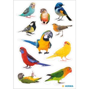 HERMA 15477 Autocollants oiseaux Multicolore Set décoratif oiseaux