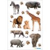 HERMA 15479 Autocollants décoratifs Animaux dAfrique Set multicolore