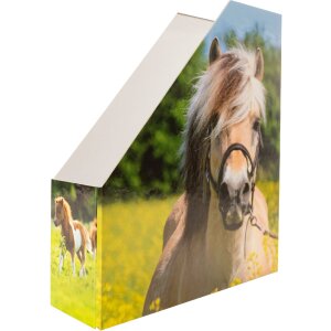 HERMA 19718 Porte-revues A4 carton design cheval Trou de...