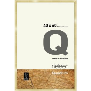 Cadre interchangeable en bois Nielsen Quadrum 40x60 cm or