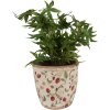 Clayre & Eef 6CE1631L Pot de fleurs pour intérieur Beige, Rouge Ø 16x16 cm