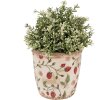 Clayre & Eef 6CE1631S Pot de fleurs pour intérieur Beige Rouge Ø 13x13 cm