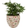 Clayre & Eef 6CE1634L Pot de fleurs pour intérieur Beige Rouge Ø 18x18 cm