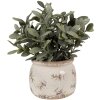 Clayre & Eef 6CE1670S Pot de fleurs pour intérieur Beige Ø 12x10 cm