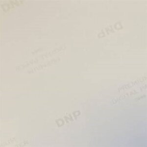 Papier DNP Standard DSRX1HS-4X6HS 2 rouleaux 700 pcs 10x15 pour DS-RX1HS