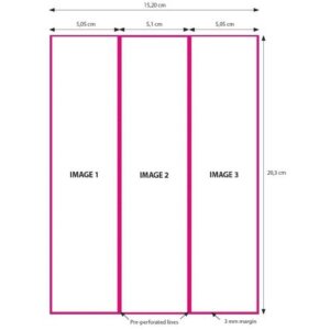 Papier DNP 2 rouleaux 15x20 cm perforé sur 5x20 et 10x20 cm pour DS620