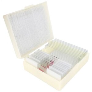 Konus Preparate Set Bacteria Simple Organisms 10 pcs.