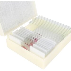 Konus Preparate Set Bacteria Simple Organisms 10 pcs.