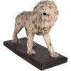 Clayre & Eef 5MG0030 Décoration Lion 55x23x40 cm Beige Marron