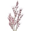 Clayre & Eef 5PL0058 Décoration Branche 6x6x72 cm Rose