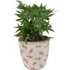 Clayre & Eef 6CE1669L Décoration Pot de fleurs Ø 16x16 cm Beige Bleu