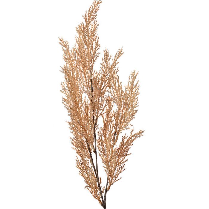 Clayre & Eef 5PL0053 Branche décorative aspect naturel beige 10x4x75 cm