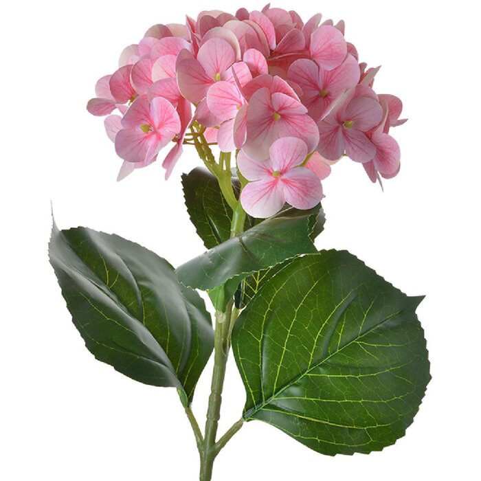 Clayre & Eef 5PL0068 Hortensia artificiel rose 15x10x67 cm