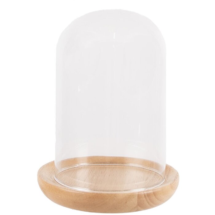 Clayre & Eef 6GL4481 Cloche en verre Dessous de plat en bois Ø 13x16 cm