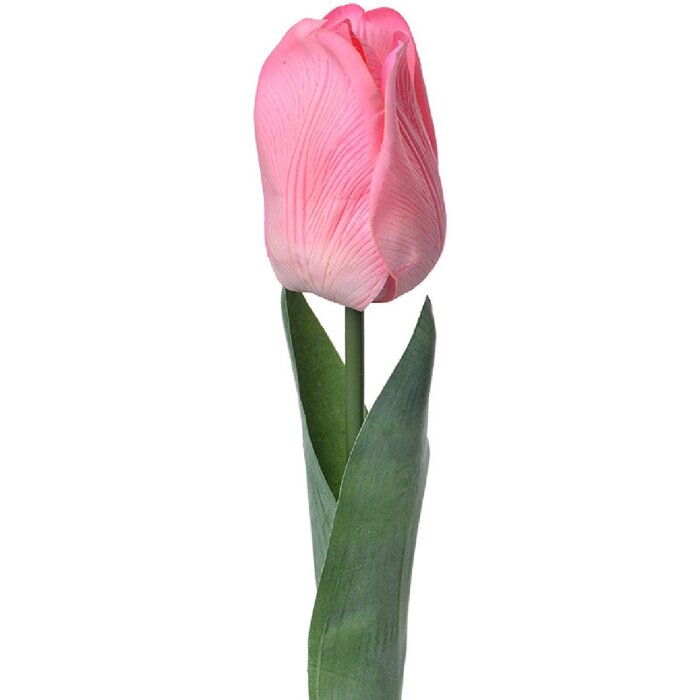 Clayre & Eef 6PL0236 Fleur artificielle Tulipe rose 6x6x50 cm