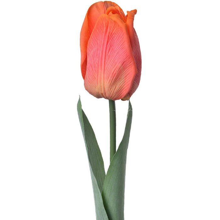 Clayre & Eef 6PL0237 Fleur artificielle Tulipe orange 6x6x50 cm