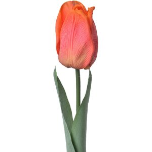 Clayre & Eef 6PL0237 Fleur artificielle Tulipe orange...