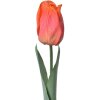 Clayre & Eef 6PL0237 Fleur artificielle Tulipe orange 6x6x50 cm