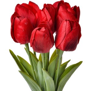 Clayre & Eef 6PL0276 Fleur artificielle Tulipes...