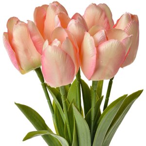 Clayre & Eef 6PL0277 Fleur artificielle Tulipes roses...