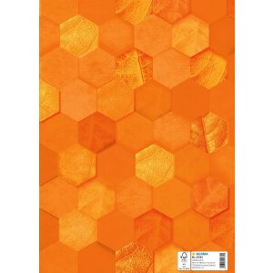 HERMA 20082 Protège-cahier carton X A4 orange