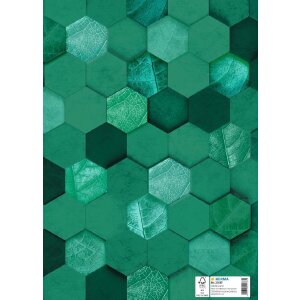 HERMA 20087 Protège-cahier carton X A4 vert foncé