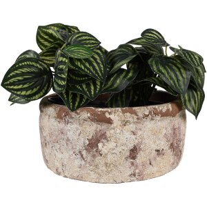 Clayre & Eef 6TE0529L Pot de fleurs terre cuite beige...