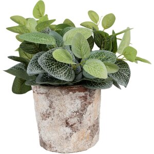 Clayre & Eef 6TE0523M Pot de fleurs Terracotta Beige...