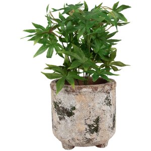 Clayre & Eef 6TE0525L Pot de fleurs Terracotta Beige...