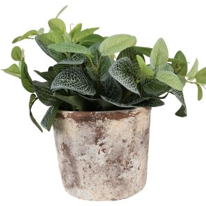 Clayre & Eef 6TE0526L Pot de fleurs Terracotta Beige...