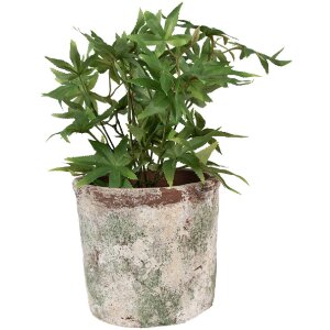 Clayre & Eef 6TE0526XL Pot de fleurs Terracotta Beige...