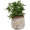 Clayre & Eef 6TE0527L Pot de fleurs Terracotta Beige Ø 18x17 cm style rustique