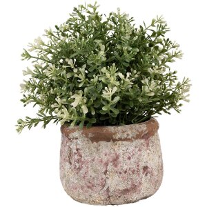 Clayre & Eef 6TE0527S Pot de fleurs terre cuite beige...