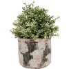 Clayre & Eef 6TE0516L Pot de fleurs Terracotta Beige Vert Ø 17x15 cm style rustique