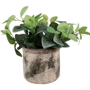 Clayre & Eef 6TE0516M Pot de fleurs Beige Vert...