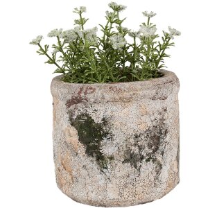 Clayre & Eef 6TE0516S Pot de fleurs terre cuite beige...